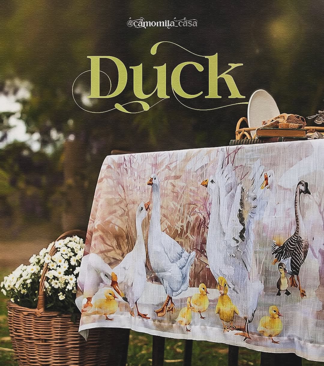 Duck
