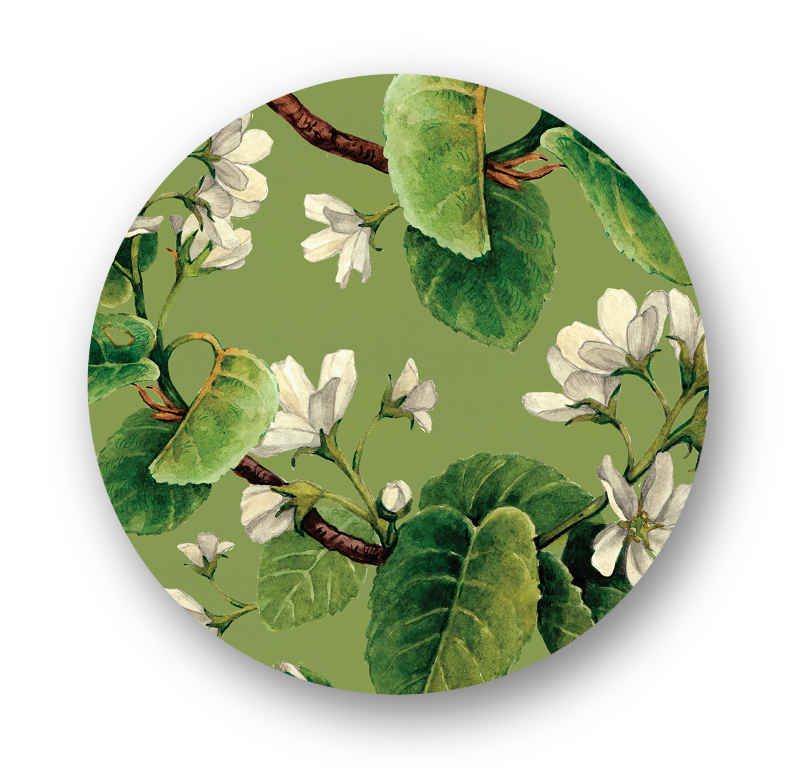 Capa para Sousplat Coleção Magnólia Green