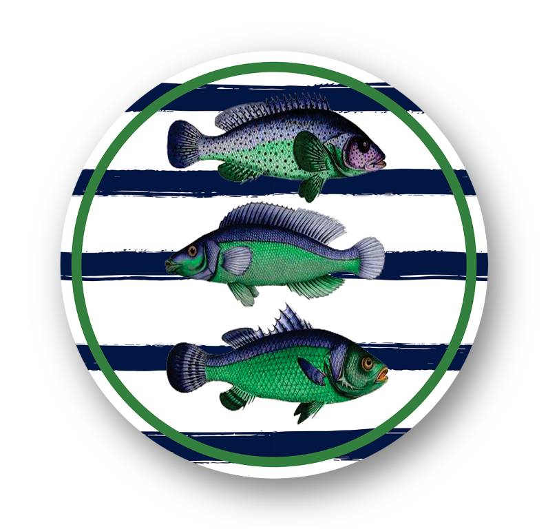 Capa para Sousplat Coleção Fish