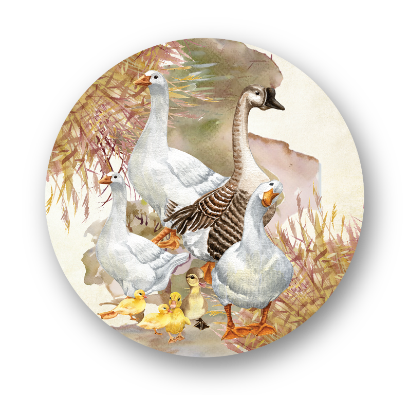 Capa para Sousplat Coleção Duck